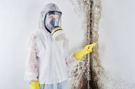 Best Mold Remediation for Healthcare Facilities  in Countryside, IL